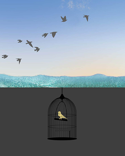 Illustration of birds flying and a canary in a cage.