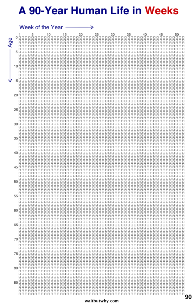 Counting the days how many weeks are in a life lifespan research 